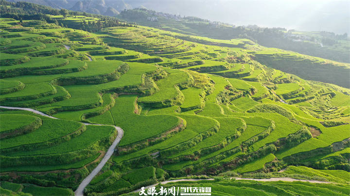 “綠”動(dòng)貴州｜生態(tài)農(nóng)業(yè)讓貴州鄉(xiāng)村“長(zhǎng)”出新模樣:生態(tài)農(nóng)業(yè)
